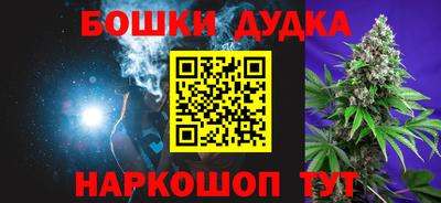 индика Заволжье