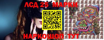 гидропоника Заводоуковск